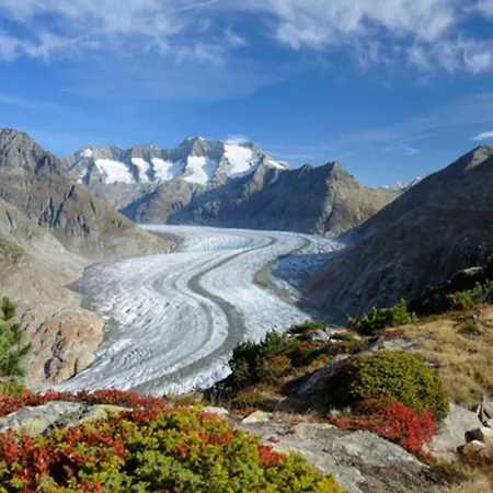Vieux Valais Beevalais 2 Apartament Riederalp