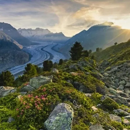 Vieux Valais Beevalais 2 リーデラルプ